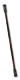 The Salamander