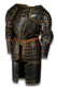 Steel Carapace