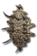 Swordback Hold